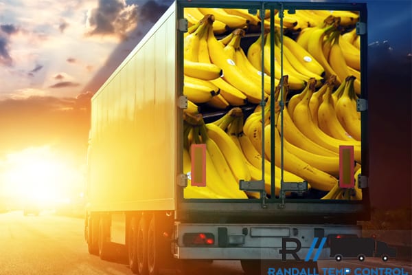 The Story of Bananas, Randall’s Insulated Pallet Covers, and a Happy Grocer